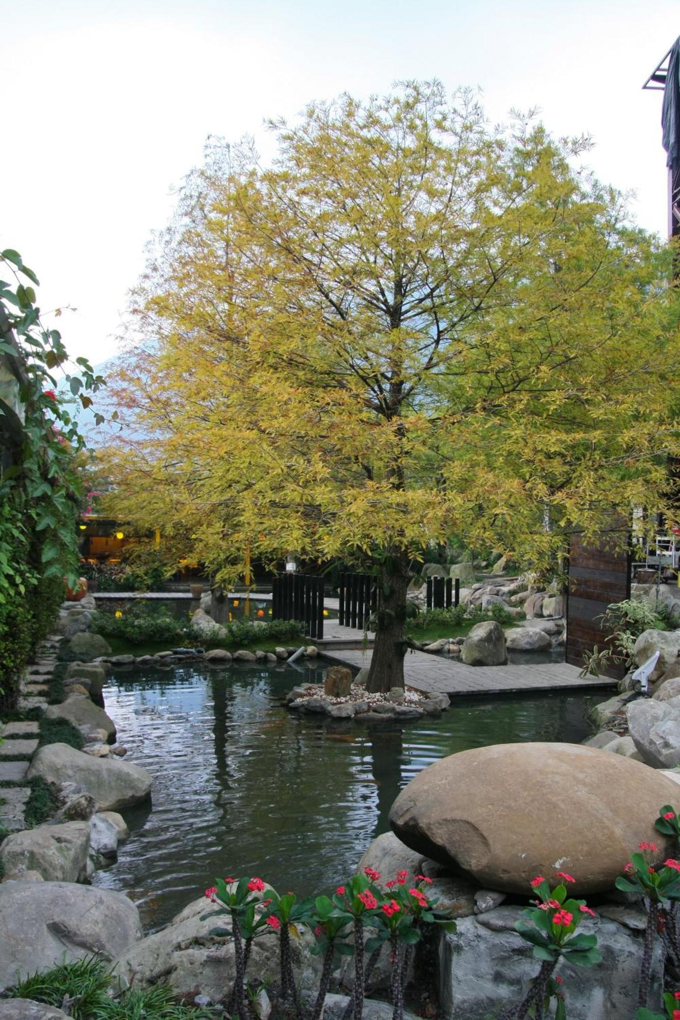 Tai-Yi Red Maple Resort Puli Buitenkant foto